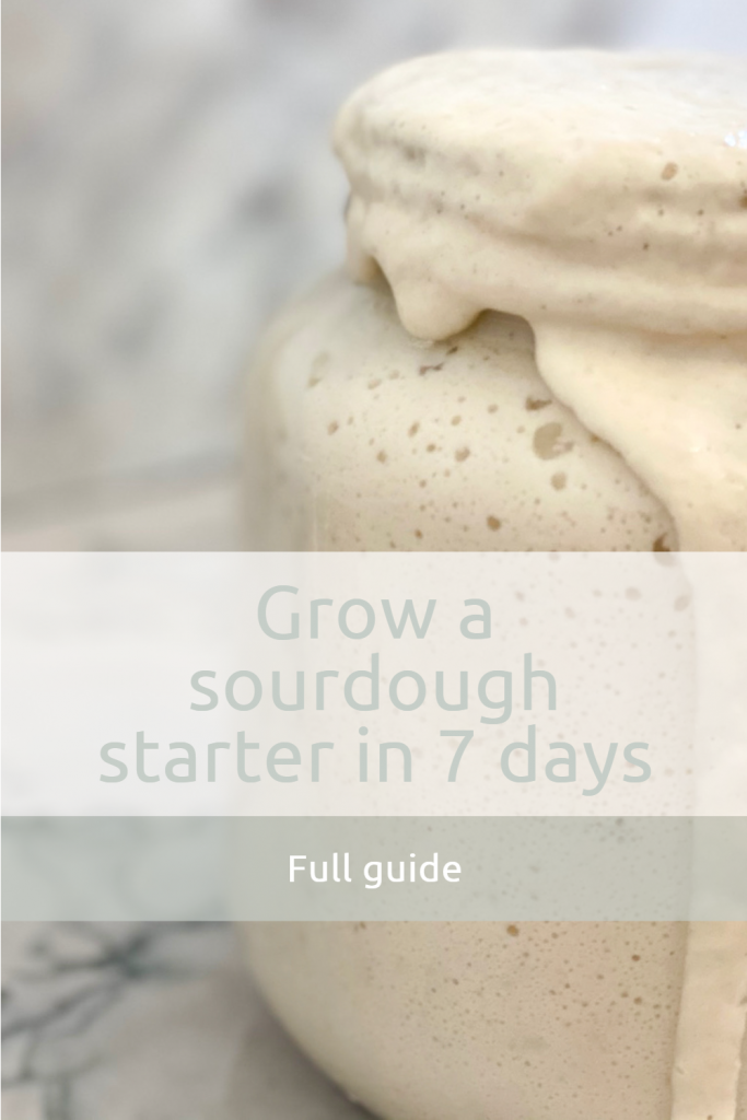 Grow a sourdough starter in 7 days. Full guide
