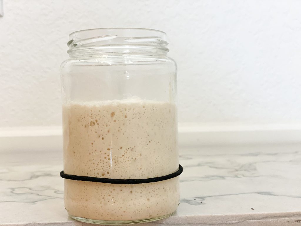 Leavened Sourdough starter in a jar, marked with a black rubber band to see the growth process