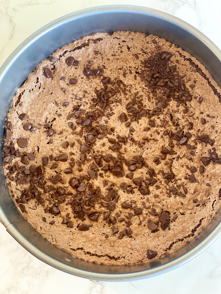 baked chocolate hazelnut sponge cake in a springform