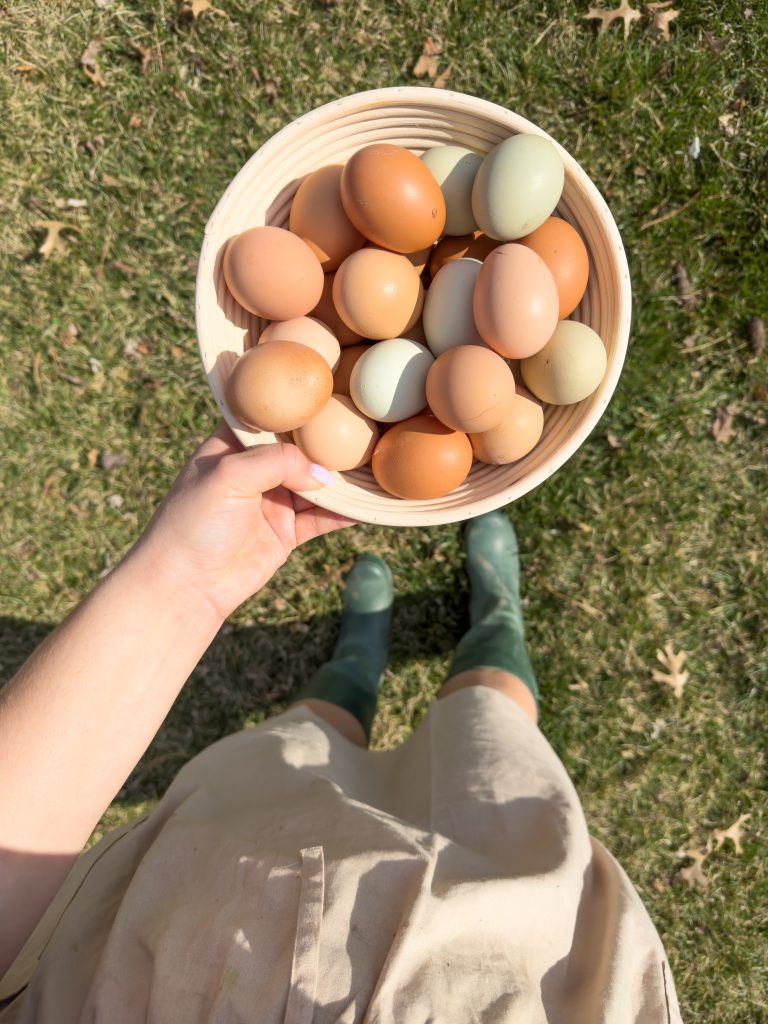 hand holding a basket full of eggs