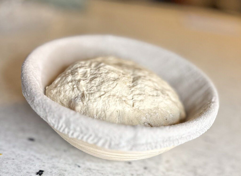 cheddar jalapeno sourdough loaf shaped into a boule inside a banneton basket. 