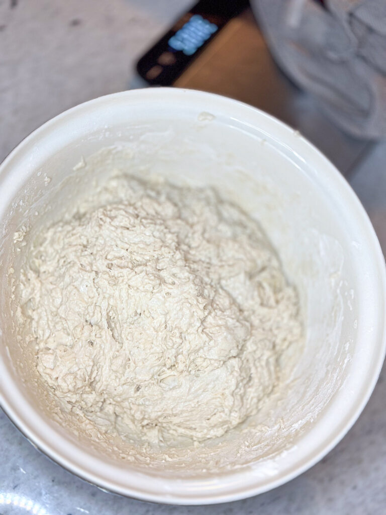 sourdough dough mixed in a large bwl