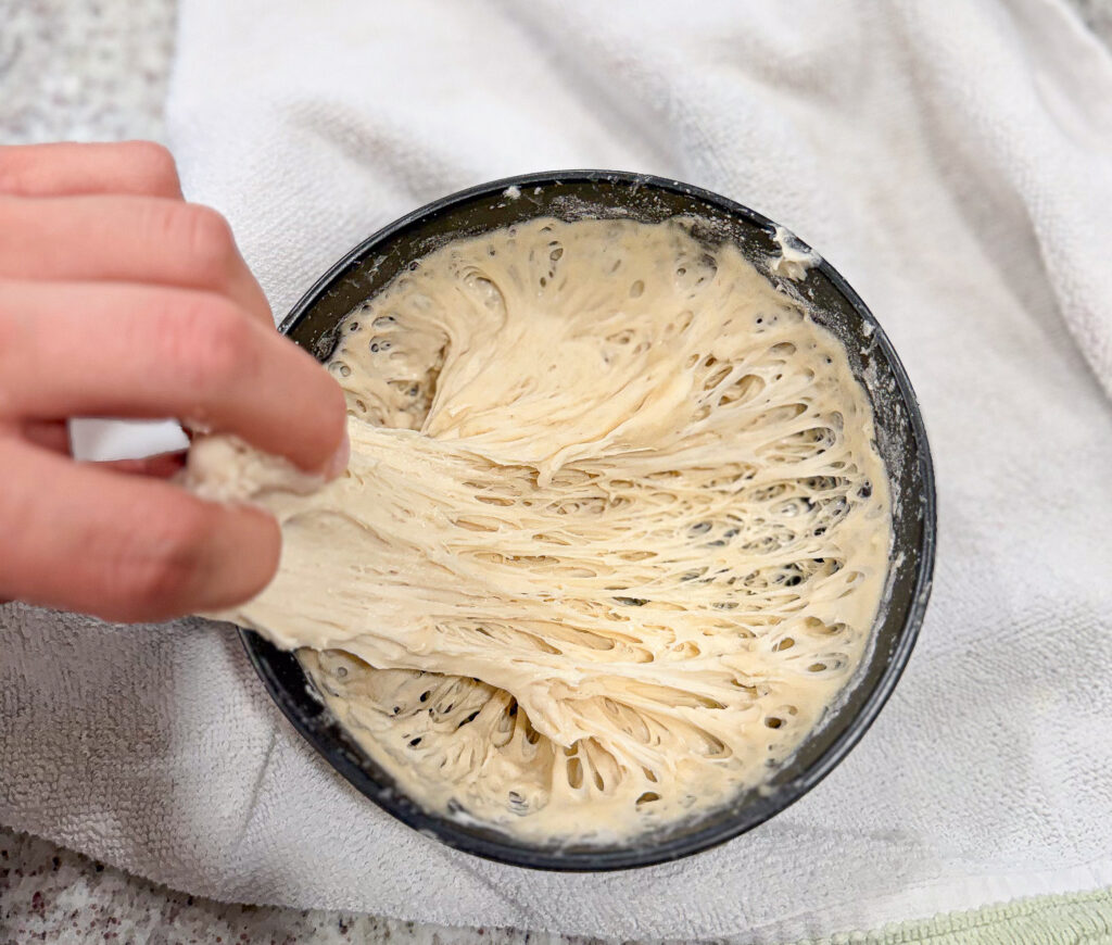 Active sourdough levain being stretched to reveal its airy, web-like gluten structure at peak fermentation.