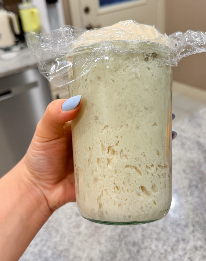 Active stiff sweet sourdough starter in a glass jar at peak fermentation with a slightly domed top and airy bubbles throughout