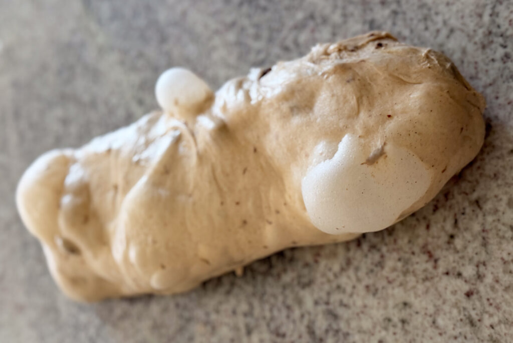 Fully fermented sourdough hot cross bun dough with visible air bubbles, showing a light, airy structure and proper gluten development