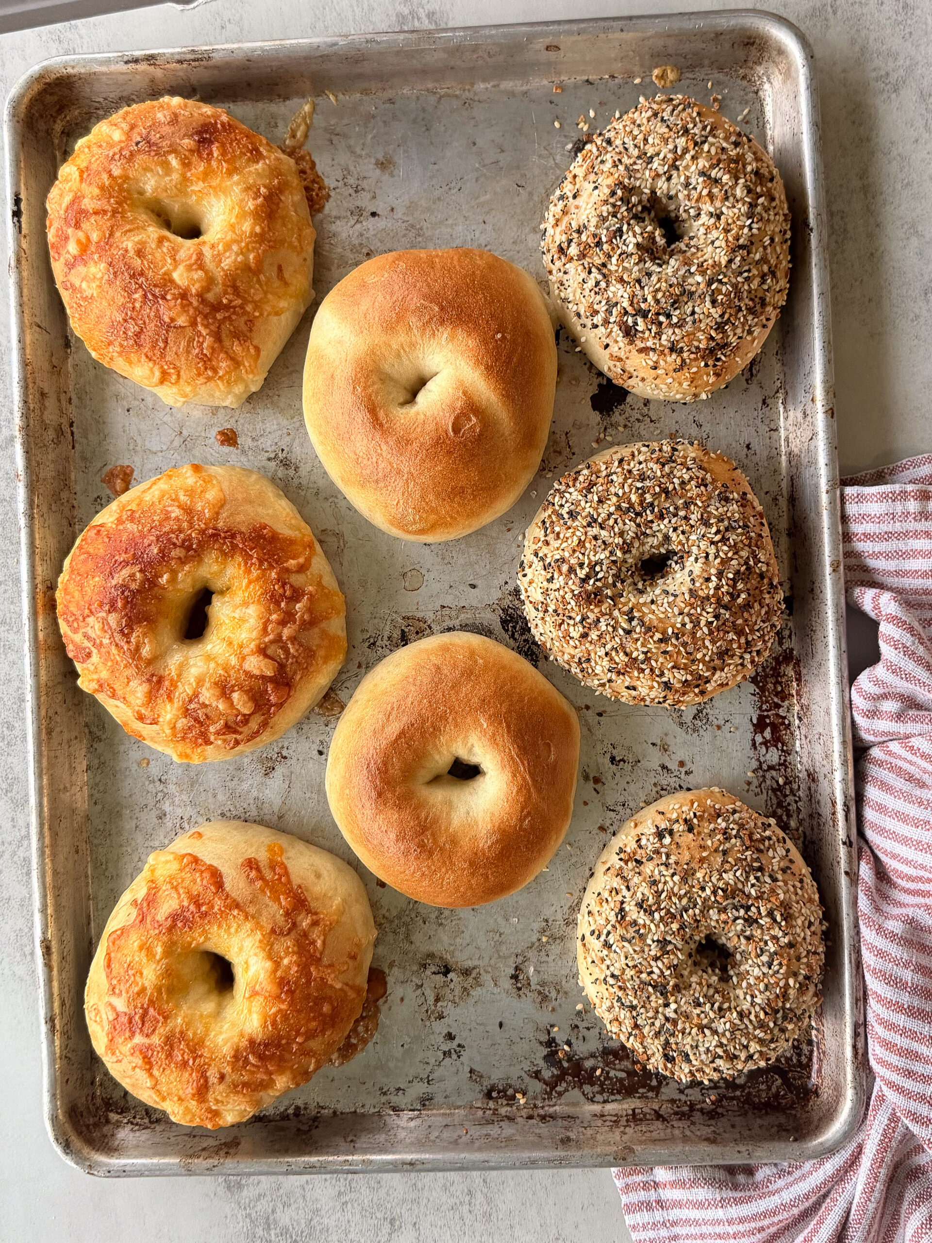 A metal baking tray holds seven assorted bagels: three cheese-topped, two plain, and two everything bagels, next to a folded red and white towel.