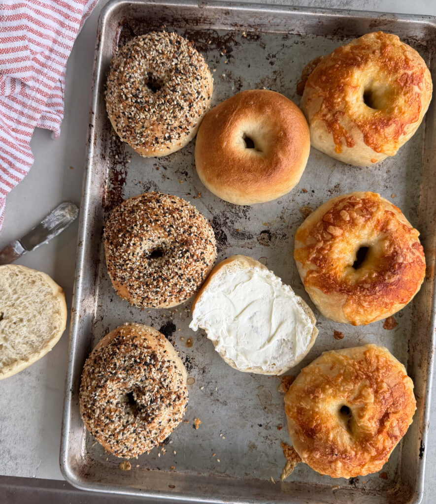 A baking tray with assorted bagels, including everything, plain, and cheese-topped varieties; one bagel is sliced and spread with cream cheese.