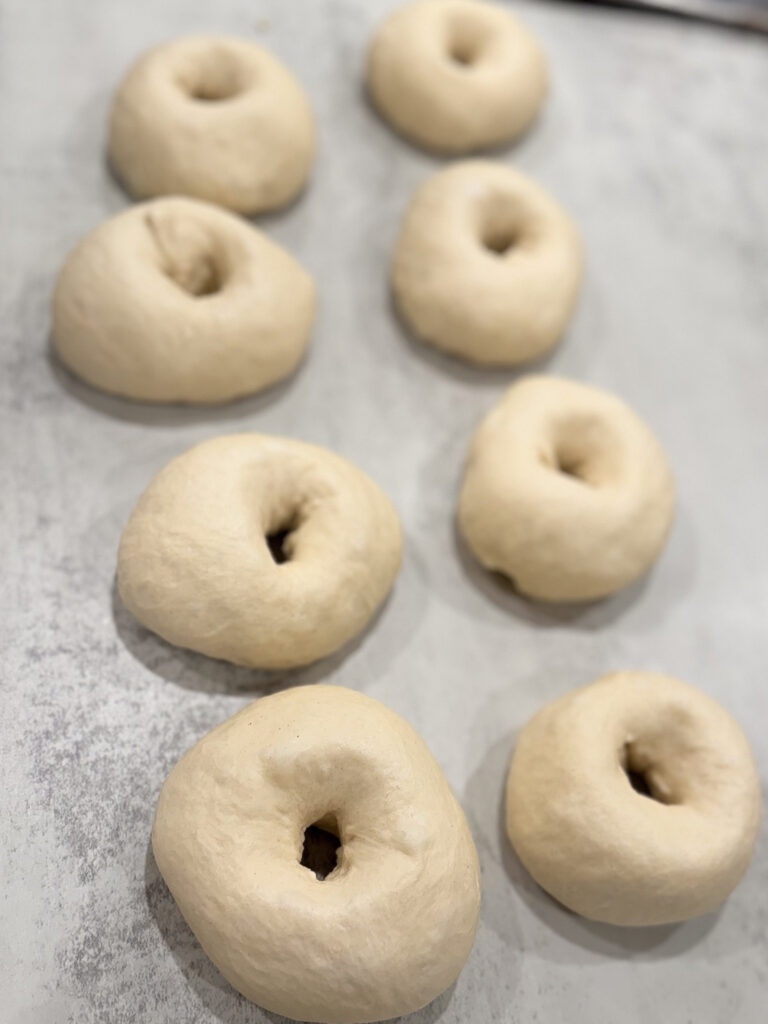 Eight unbaked bagels with holes in the center are arranged on a lightly floured countertop.